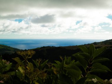 Tipik Azores manzarası. Arka planda doğal yeşil arazi tepeleri ve deniz. Doğanın güzelliği konsepti.