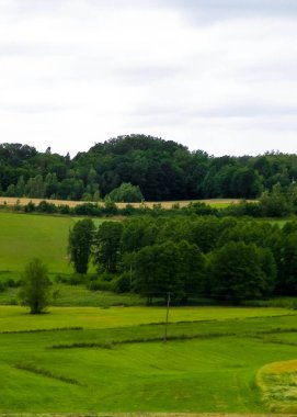 Wiezyca 'nın tarlaları ve çayırları. Wiezyca, Kashubia Bölgesi 'nin popüler bir turistik bölgesidir. Polonya