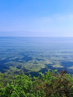 Seascape of Baltic Sea crystal water, seaweed and sea bottom. Copy space over horizon.