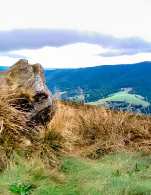 Dağın tepesinden Karpatların güzel manzarası. Doğanın güzelliği.
