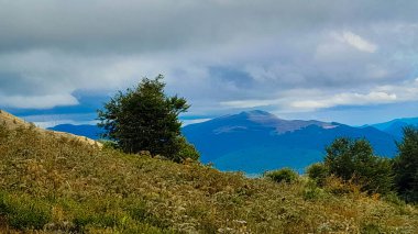 Dağın tepesinden Karpatların güzel manzarası. Doğanın güzelliği.