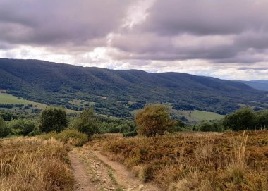 Bieszczady Dağları, Karpatian Dağları 'nın kuzey kesiminde yer alır. Doğanın güzelliği.