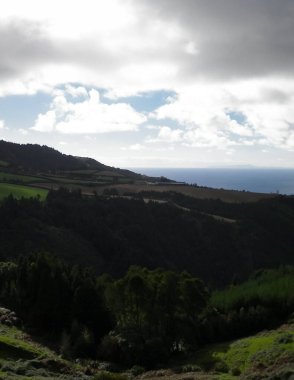 Tipik Azores manzarası. Arka planda doğal yeşil arazi tepeleri ve deniz. Doğanın güzelliği konsepti.