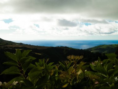Tipik Azores manzarası. Arka planda doğal yeşil arazi tepeleri ve deniz. Doğanın güzelliği konsepti.
