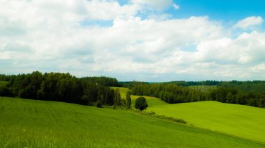 Yazın Kashubia 'nın inanılmaz doğası. Yeşil tarlalar, tepeler ve çayırlar.