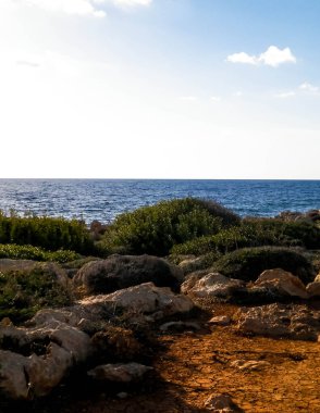 Kıbrıs Rum Kesimi 'nin Coral Bay yakınlarındaki kıyı bölgesinde. Saf doğa..