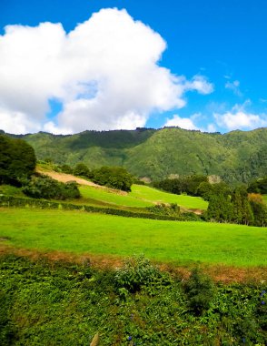 Sao Miguel Adası 'nda dağın tepesinde. Azores. Doğanın güzelliği.