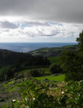 Tipik Azores manzarası. Arka planda doğal yeşil arazi tepeleri ve deniz. Doğanın güzelliği konsepti.