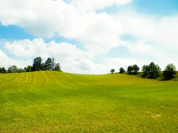 Yazın Kashubia 'nın çarpıcı doğası. Yeşil tarlalar, tepeler ve çayırlar.