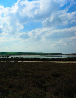 Arka planda Kıbrıs Rum Kesimi ve Larnaka Gölü kırsal alanı yer alıyor. Kıbrıs 'ta kuraklık.