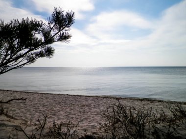 Hel Peninsula 'dan Baltık deniz kıyıları - Hel şehrine yakın plaj. Baltık Denizi ve Gdansk Körfezi 'nin güzel doğası. Seyahat ve doğa kavramı.