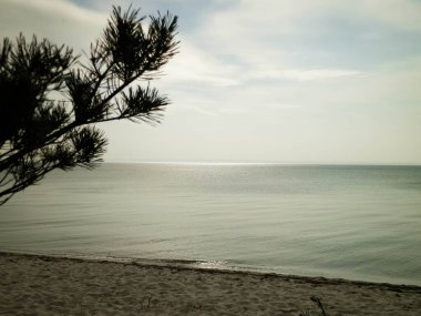 Hel Peninsula 'dan Baltık deniz kıyıları - Hel şehrine yakın plaj. Baltık Denizi ve Gdansk Körfezi 'nin güzel doğası. Seyahat ve doğa kavramı.