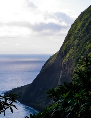 Azores 'in güzel doğası. Rocky Atlantik Okyanusu Kıyısı Sao Miguel Adası 'nda fırtınalı bir günde.