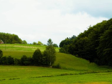 Green hills and forest - landscape of Kashubian Region, Poland. Travel and nature concept.