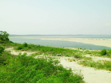 Sobieszewska Adası 'ndaki Baltık Denizi Kıyısı. Vistula Nehri 'nin kıyısında. Kuzey Polonya 'nın doğası.