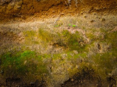 Toprak doğal bir arka plan. Boşluğu kopyala.