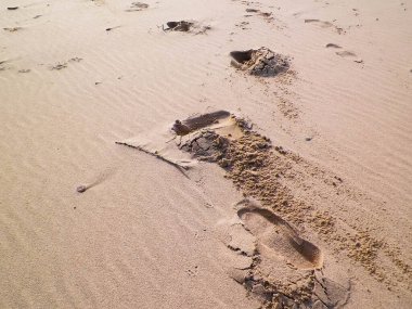 Sahilde ya da çölde yürüyen gezginler. Doğal arkaplan.