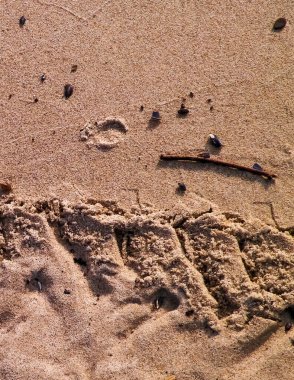 Çölün veya kumsalın üzerindeki lastik izleri. Doğal arka plan. Offroad ve seyahat kavramı.