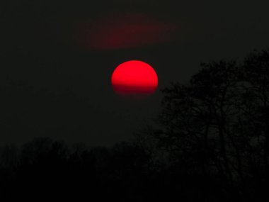 Doğanın güzelliği. Karanlık gökyüzünde kırmızı ay. İnanılmaz bir doğa olayı..