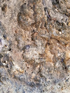 Doğal bir arka plan olarak kıyı kayaları ve deniz suyu. Boşluğu kopyala.