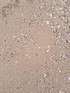 Zemin doğal arka plan. Boşluğu kopyala.