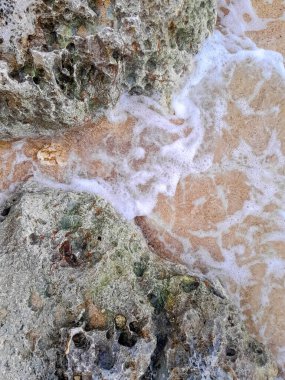 Doğal bir arka plan olarak kıyı kayaları ve deniz suyu. Boşluğu kopyala.