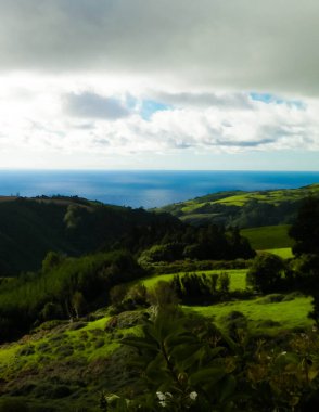 Tipik Azores manzarası. Arka planda doğal yeşil arazi tepeleri ve deniz. Doğanın güzelliği konsepti.