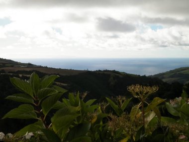 Tipik Azores manzarası. Arka planda doğal yeşil arazi tepeleri ve deniz. Doğanın güzelliği konsepti.
