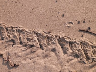 Çölün veya kumsalın üzerindeki lastik izleri. Doğal arka plan. Offroad ve seyahat kavramı.