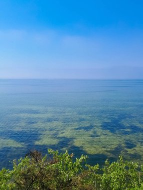 Seascape of Baltic Sea crystal water, seaweed and sea bottom. Copy space over horizon.