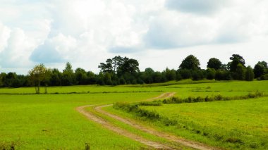 Kashubian kırsalındaki yeşil arazide. Polonya. Doğa ve tarım kavramı. Bulutlu gökyüzünde uzayı kopyala.