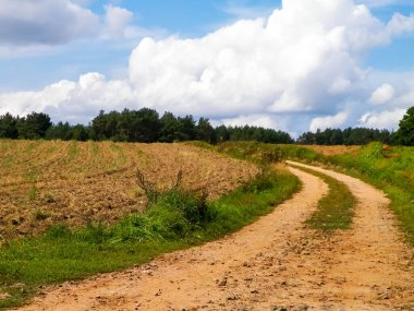 Kashubian kırsalındaki köy yolu. Polonya. Doğa ve tarım kavramı. Bulutlu gökyüzünde uzayı kopyala.
