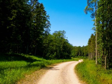 Kashubia 'da ormanın üzerindeki yol. Polonya. Kuzey Polonya 'nın güzel doğası.