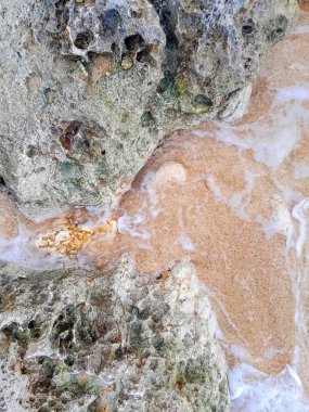 Doğal bir arka plan olarak kıyı kayaları ve deniz suyu. Boşluğu kopyala.