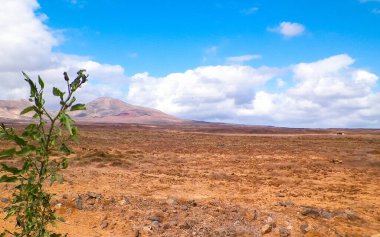 Lanzarote Adası 'nda çöl. Kanarya takımadalarının saf doğası.