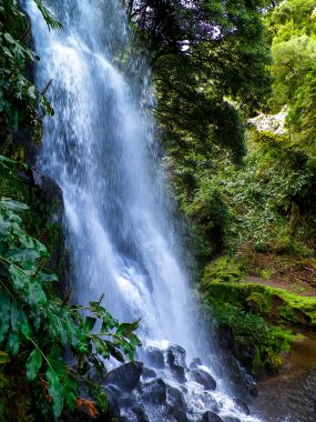 Ribeira 'nın Botanik Bahçesi Guilherme' de büyük bir şelale. Yani Miguel Adası, Azores adalarının egzotik doğası..