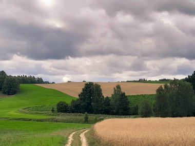 Fırtına geliyormuş. Kashubian çayırlarının üzerinde bulutlu bir gökyüzü. Saf doğa, Kuzey Polonya 'nın güzel manzarası. Pomeranya 'daki Kashyubia Bölgesi.