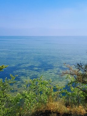 Seascape of Baltic Sea crystal water, seaweed and sea bottom. Copy space over horizon.