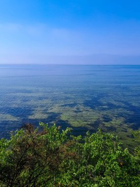 Polonya 'daki Pucka Körfezi' nin temiz su manzarası çok güzel. Pucka Körfezi 'nin doğal koşulları biliniyor. Temiz su ve güzel manzaralar..