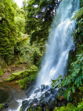 Azores 'de inanılmaz bir şelale. Sao Miguel Adası. Doğanın güzelliği.