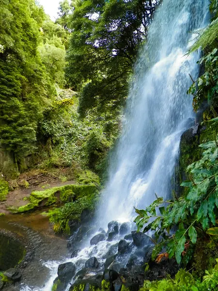 Azores 'de inanılmaz bir şelale. Sao Miguel Adası. Doğanın güzelliği.