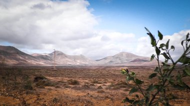 Lanzarote Adası 'nda çöl. Kanarya takımadalarının saf doğası.