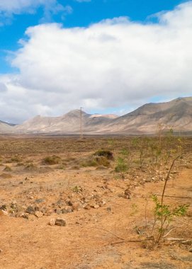 Lanzarote Adası 'nda çöl. Kanarya takımadalarının saf doğası.