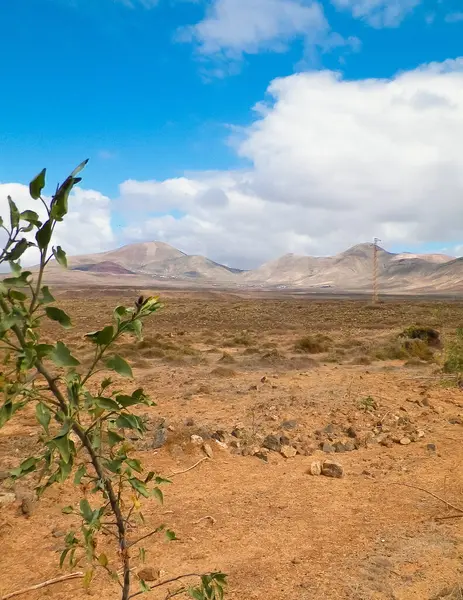 Lanzarote Adası 'nda çöl. Kanarya takımadalarının saf doğası.