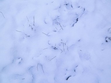 Doğal arka plan olarak taze kar. Boşluğu kopyala.