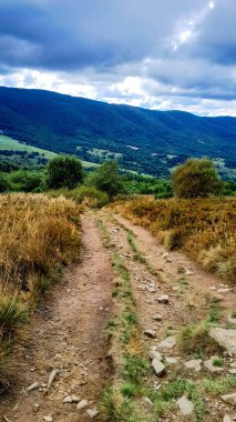 Dağın tepesinden Bieszczady 'nin güzel manzarası. Dağ turizmi.