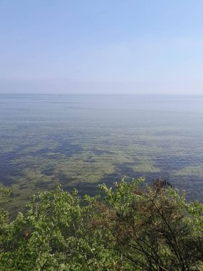 Seascape of Baltic Sea crystal water, seaweed and sea bottom. Copy space over horizon.