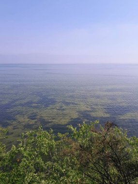 Polonya 'daki Pucka Körfezi' nin temiz su manzarası çok güzel. Pucka Körfezi 'nin doğal koşulları biliniyor. Temiz su ve güzel manzaralar..
