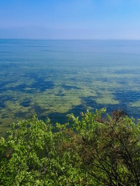Seascape of Baltic Sea crystal water, seaweed and sea bottom. Copy space over horizon.