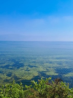Seascape of Baltic Sea crystal water, seaweed and sea bottom. Copy space over horizon.